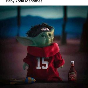 Meet your Posher, Ginger